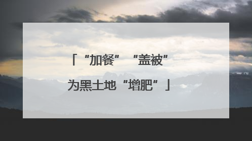 “加餐”“盖被” 为黑土地“增肥”